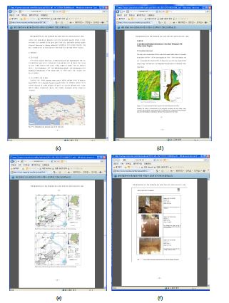 Fig. 7-4. Report on potential evaluation and exploration of overseas rare metal resources. (c) PDF format for the preliminary study result for exploration of REE in Malatya, Turkey. (d) PDF format for the study result for REE belt near main rift valley and Adola belt in Ethiopia. (e) PDF format for the stream sediment sampling result in Mwanza, DR Congo. (f) PDF format for the soil sampling result in Vichada, Colombia.