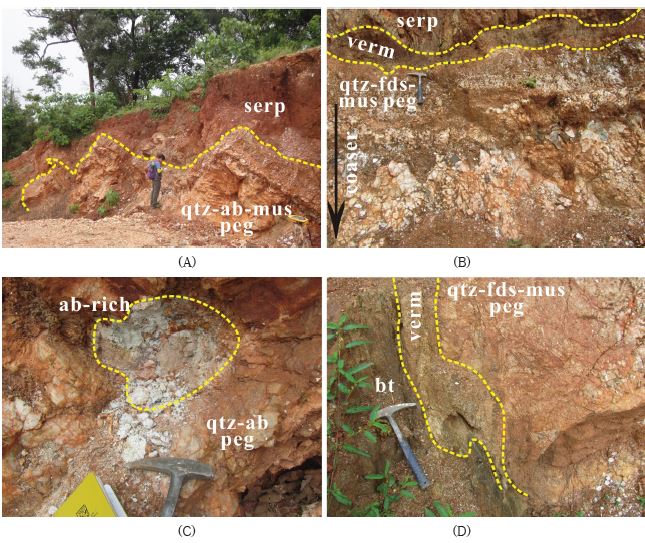 Fig. 1-7. Exposed Kilkele pegmatite I. A. The Kilkele pegmatite I intruded into serpentinite. B. The vermiculite-rich zone occurs both upper and lower zone between pegmatite and serpentinite. C. The albite-rich zone occurs in centeral part of the pegmatite. D. The lithium-rich biotite occurs beyond the vermicular-rich zone in lower.