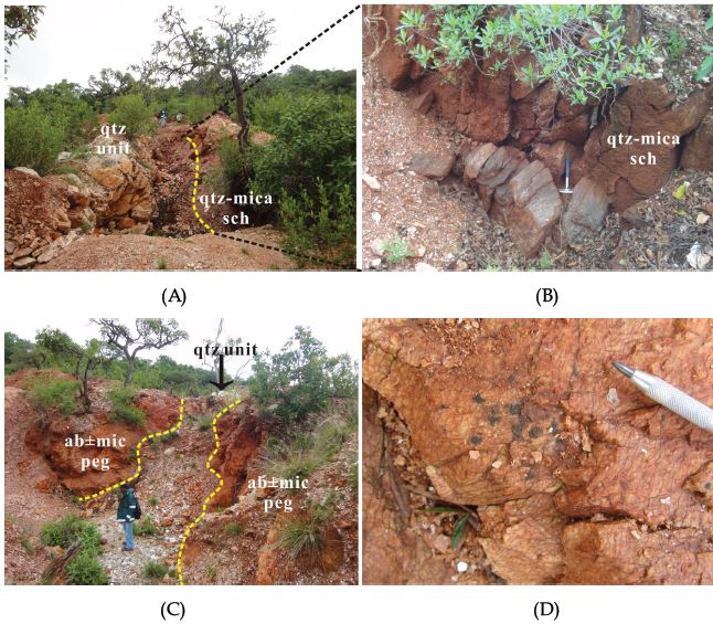 Fig. 1-13. Exposed Shuni pegmatite I. A and B. The pegmatite intruded into quartz-mica schist. C. The albite-K-feldspar zone occurs in western part of the massive quartz core. D. The black coated minerals overprinted in albite-K-feldspar zone.