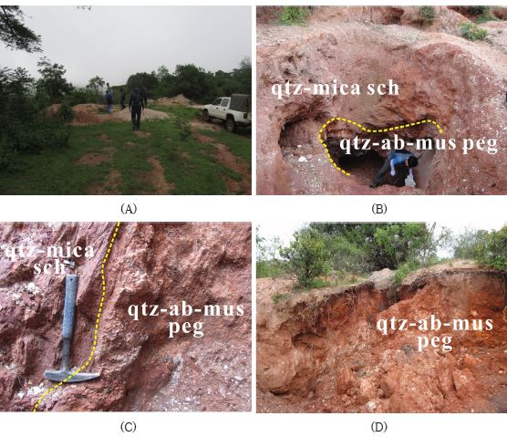 Fig. 1-17. The exposed Bupo pegmatite III. A and B. The pegmatite was mined out by artisanal miners. C. Contact zone between quartz-mica schist and quartz-albite-muscovite pegmatite. D. Albite-rich pegmatite was strongly altered to kaolinite.