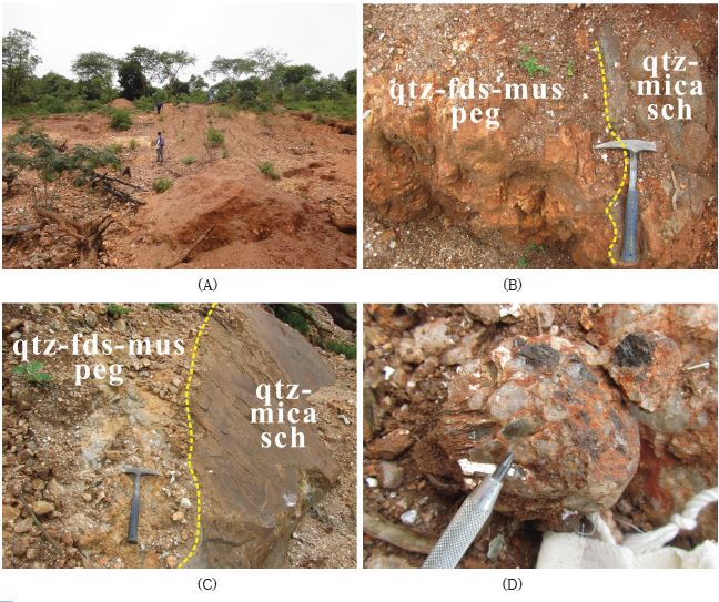 Fig. 1-19. A. The exposed Bupo pegmatite IV was mined out by artisanal miners. B and C. The pegmatite intruded into N30°E striking quartz-mica schist. D. The MnFe oxide minerals occur in quartz-muscovite-albite pegmatite.