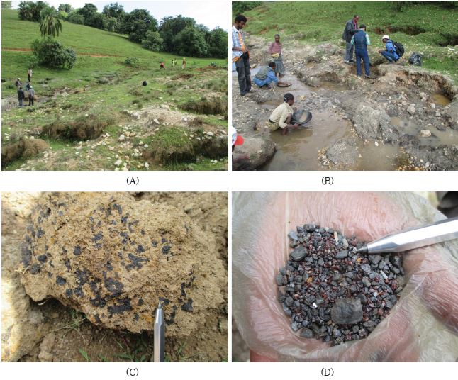 Fig. 1-25. Mining operation at the Bambo-waha pegmatite III. A and B. The deeply weathered pegmatite is produced the tantalite by artisanl miners. C. The Mn-Fe oxide minerals occur in unsolidified sediments. D. The tantalite grains from the Bambo-waha pegmatite III.