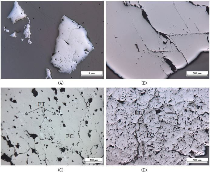 Fig. 1-28. Occurrences of columbite-tantalite minerals from the Shuni (A) and Bambo-waha pegmatites (B-D). A. The Fe-columbite from the Shunipegmatite II. B. The overgrowth of Fe-columbite from the Bambo-wahapegmatite III. C. The exsolution texture between Fe-tantalite andFe-columbite. D. The exsolution texture between ilmenite and Fe-columbite.