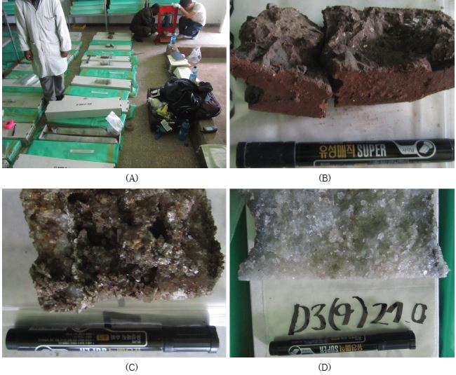 Fig. 1-33. Samples of evaporite from the Asa ale. The phases are changed from top sediment (B) through porous evaporite (C: ∼ 3 m) to intense evaporite (D:∼27 m).