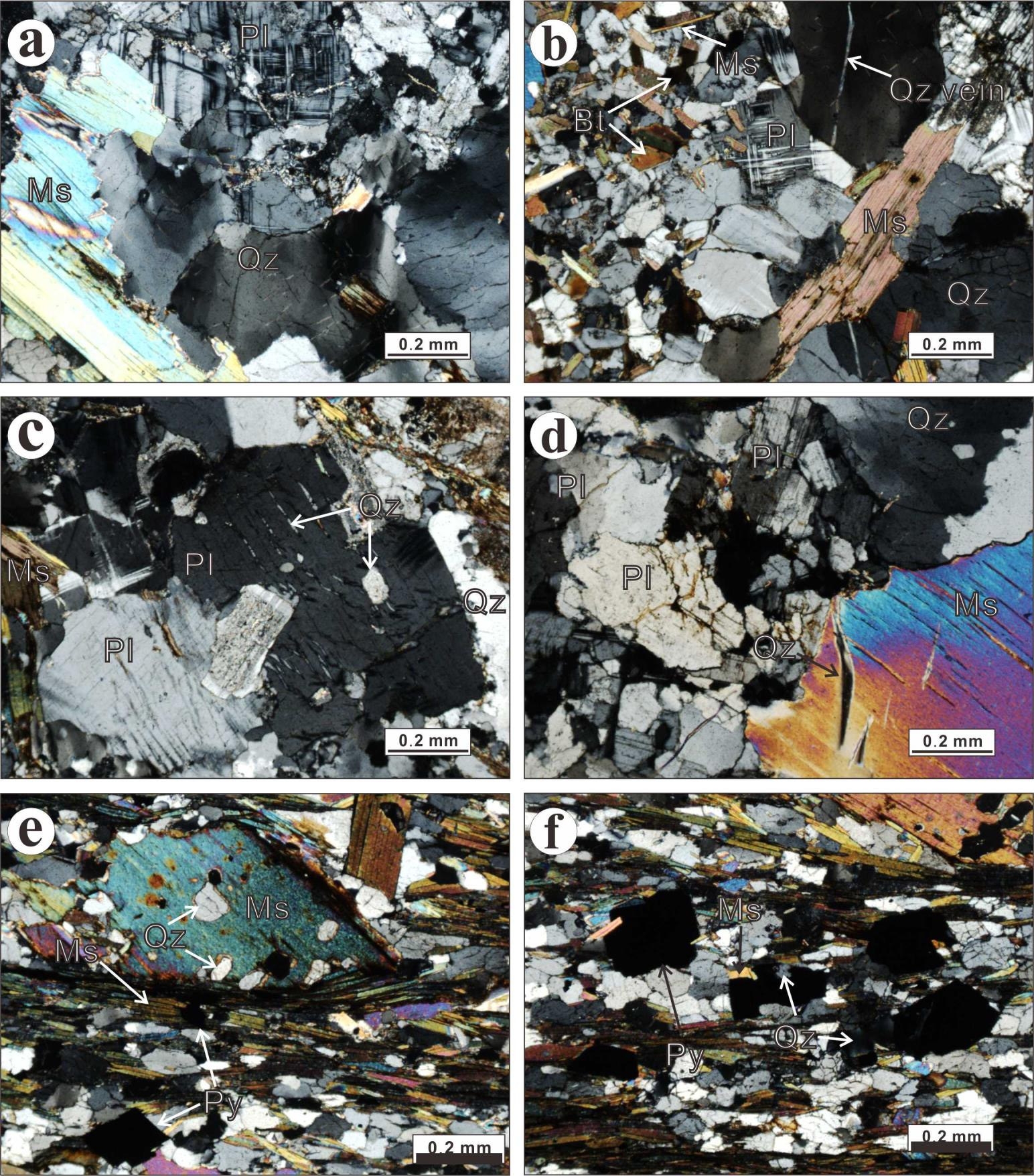 Fig. 2-16. Photomicrographs of polished thin section of granite (a, b), pegmatite, (c, d) and schist (e, f). There are no opaque mineral except the pyrite of schist (Ms:muscovite, Bt: Biotite, Pl: plagioclase, Qz: quartz, Py: pyrite).