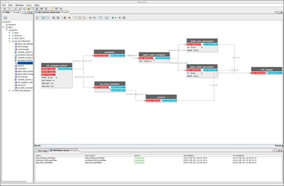 Workflow for variant detection