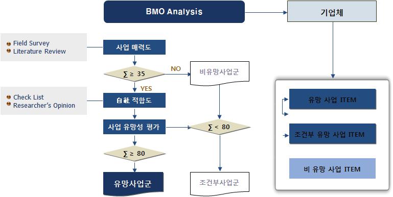 사업매력도(BMO) 평가 프로세스