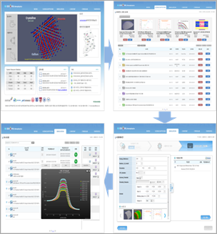 Platform-based simulation execution environment