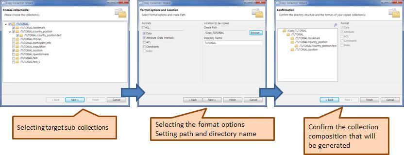 Fine-defined Copy Collection Wizard Process