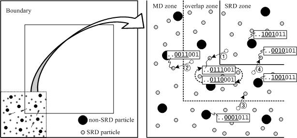 Conceptual Model of fix_mdsrd