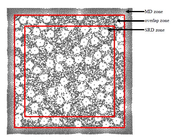 Example of MD+SRD Simulation