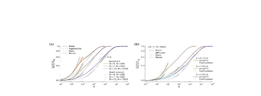 Chain dynamics under confinement