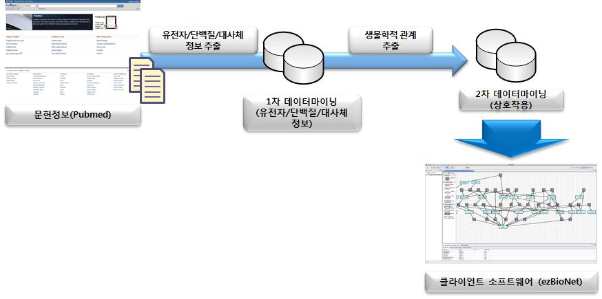 Biological network generation using the text-mining technique