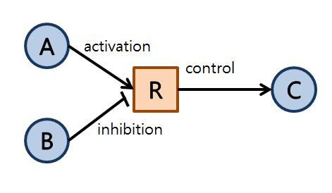 Modeling of Boolean network