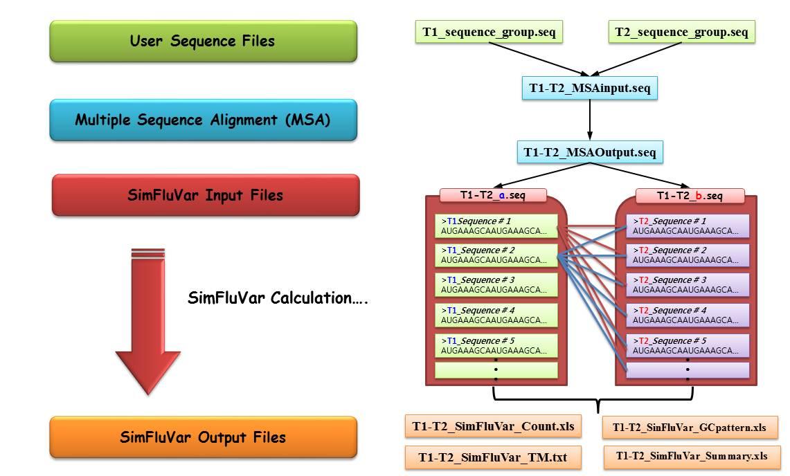 Process of SimFluVar