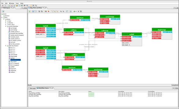 DEG analysis workflow using RNA-seq data