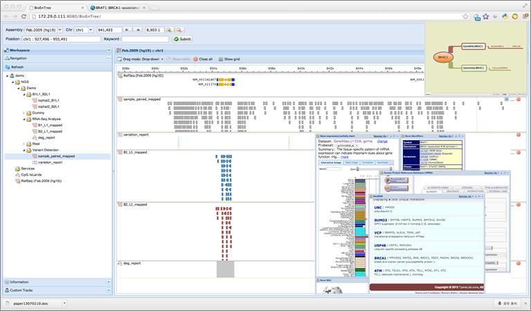 User interfaces of BioEnTree