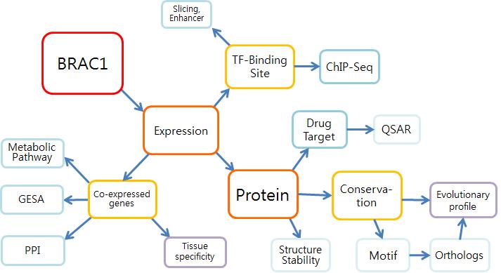 Network-based map for gene annotation history