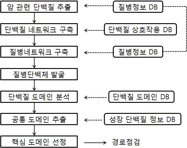 Construction of cancer network, and process of selecting the main domaion