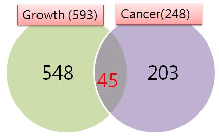 Correlation between the cancer-related protein and growth-related protein