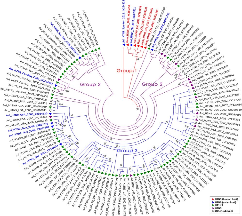 Phylogenetic tree of 9 NA gene (ML)