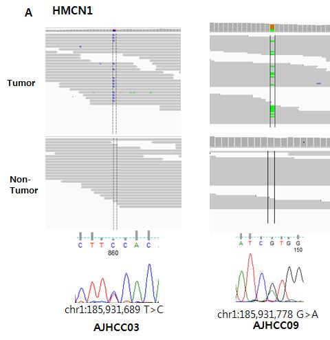 Validation of the recurrent variants