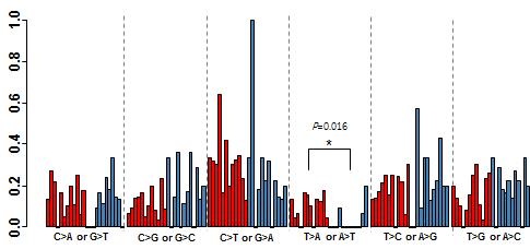 Distribution of bases of the cancer-specific variants