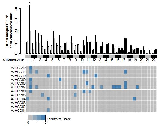 Chromosomal distribution of Cancer-specific mutation