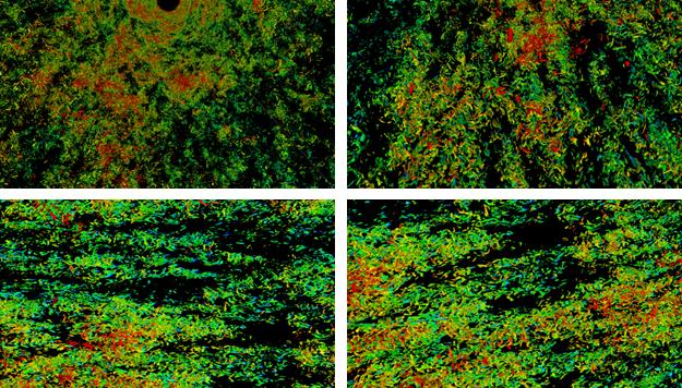 Visualization of the turbulent pipe flow data