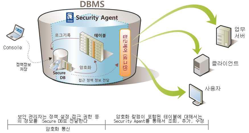 D'Amo Conceptual Diagram