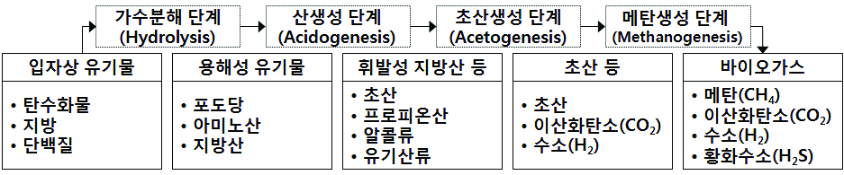 바이오매스의 혐기소화 메커니즘