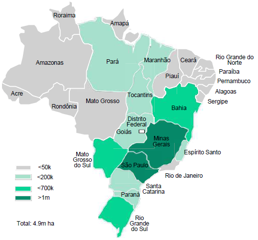 브라질의 유칼립투스 재배 현황(2011)
