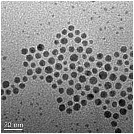 TEM 이미지를 통한 10 nm 은 나노 입자의 모양과 크기