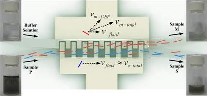 나노 소재 분리 기술 (Nano Lett 2008)