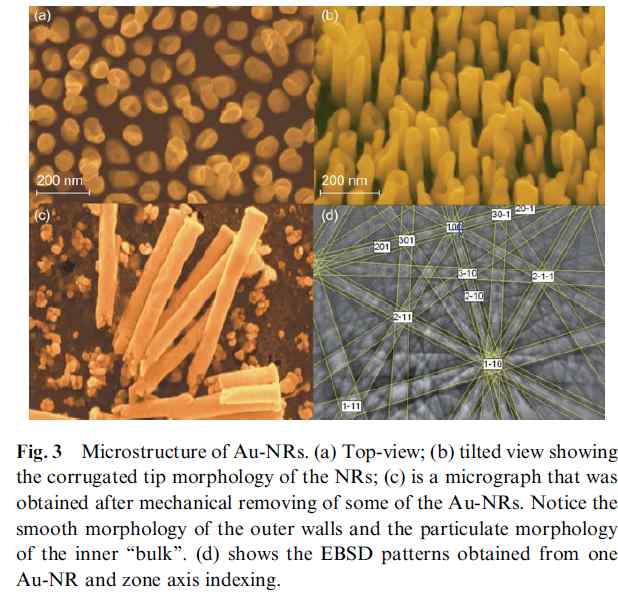 Microstructure of Au-NRs.