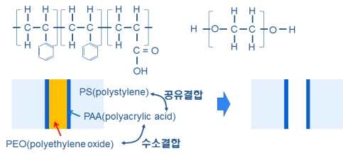 PS-b-PAA:PEO 소재 적용 나노포어 구조 개략도