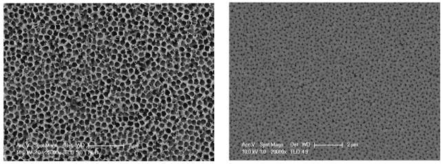 Pristine AAO membrane (좌) 및 약 150nm Al2O3 박막 증착후의 AAO membrane (우) 표면 모습