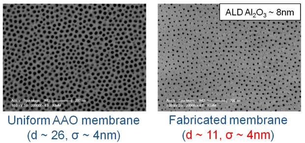 본 과제를 위해 확보한 AAO membrane (좌) 및 약 8nm Al2O3 박막 증착후의 membrane (우) 표면 모습