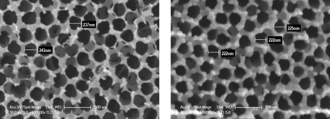 Prestin AAO membrane disk의 표면 모습(좌) 및 10nm Al2O3 박막 증착후의 표면 모습(우)