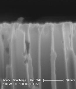 10nm Al2O3 박막 증착한 AAO membrane disk의 단면 모습