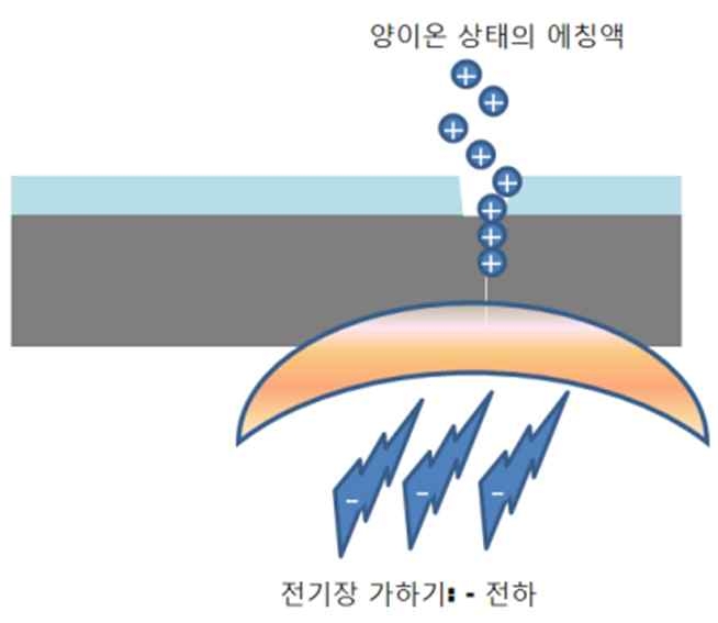 출원번호: 2011-0020781