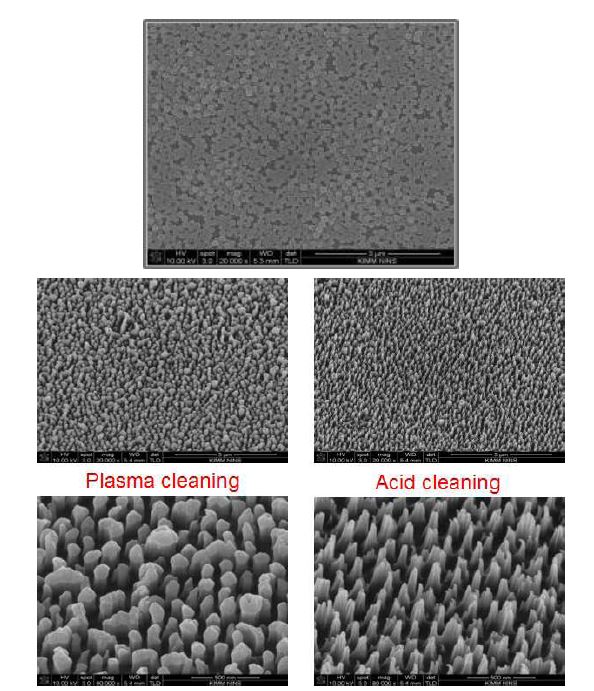 바코팅을 이용하여 코팅된 나노입자의 전자현미경 사진과 식각 후 플라즈마와 산용액으로 세정한 표면의 전자현미경 사진