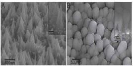 A) SEM image of electrodeposited Ni NCAs. B) Top and cross-sectional (inset) SEM images of Ni NCAs suppoerted Si electrode.