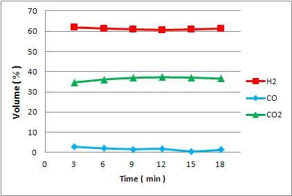 처리량 : 1lpm (S/C ratio:2.5, HTS:350oC. LTS:220oC)