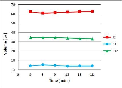 처리량 : 2lpm (S/C ratio:2.5, HTS:350oC. LTS:220oC)