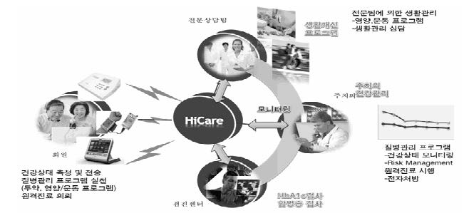 인성정보의 Hicare 서비스 모식도