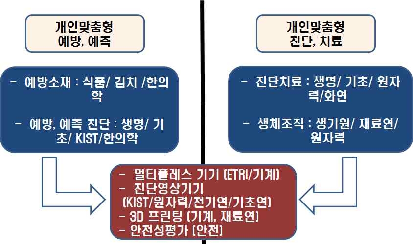 BINT 기반 맞춤형 건강증진/의생명난제 극복기술 추진전략