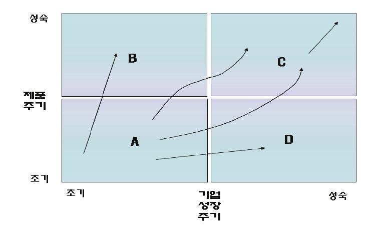 제품주기를 고려한 기업의 성장주기 패턴