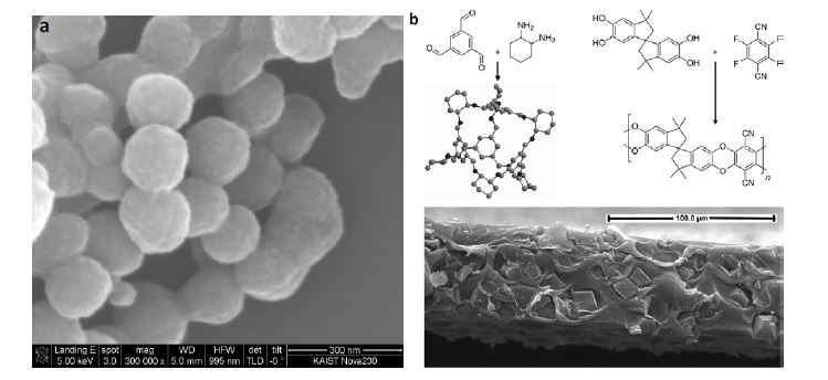 Figure 2.7. (a) Nearly monodispersed COPs, and (b) Non-processable nanoporous organics-PIM composite membrane