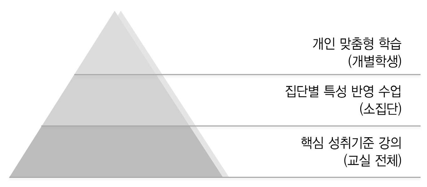 RTI의 3단계 체제